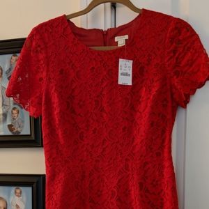 J. Crew lace short dress in Women